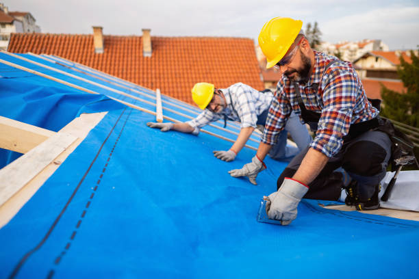 Best Storm Damage Roof Repair  in Soldotna, AK